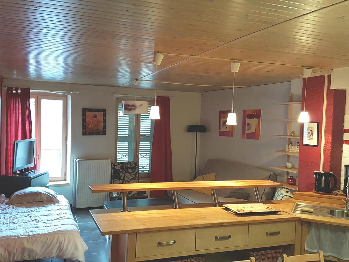 Home Nantua studio meublés Ain-Jura Bagian luar foto
